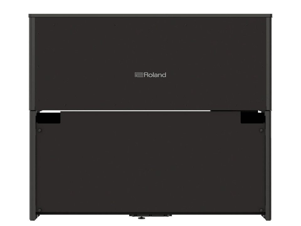 ROLAND LX-9 PE - Ảnh thực tế 8